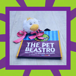 Pet Nutrition & Health Blog - The Pet Beastro